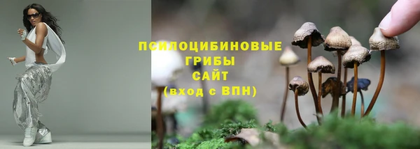 индика Володарск