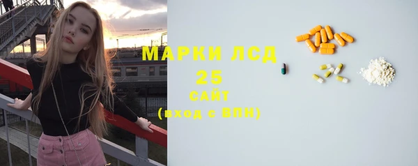 индика Володарск