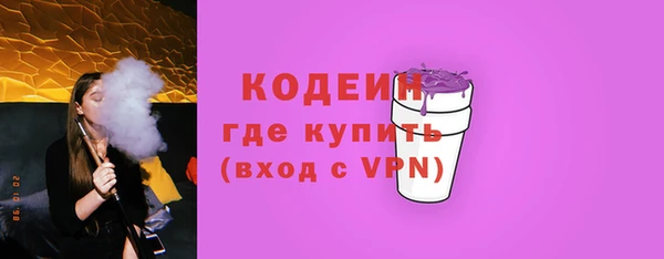 индика Володарск