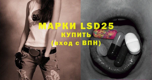 индика Володарск