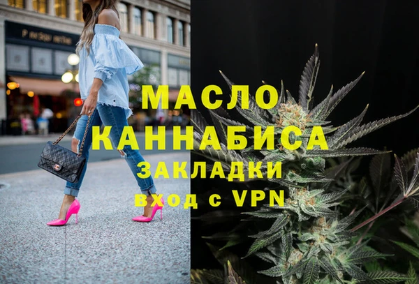 индика Володарск