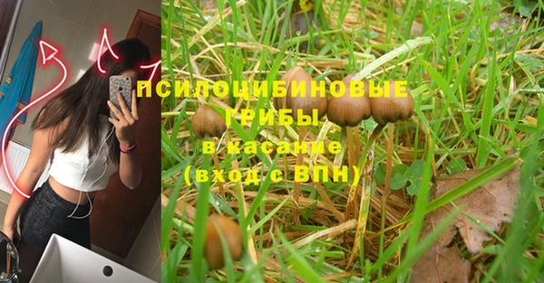 индика Володарск