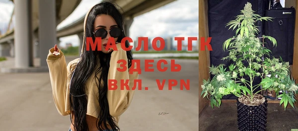 индика Володарск
