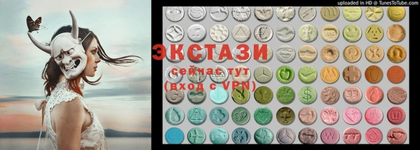 индика Володарск