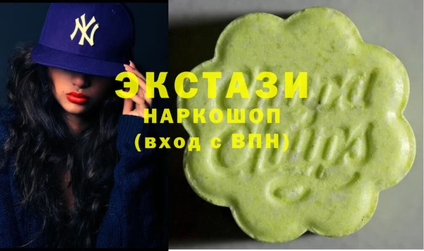 индика Володарск