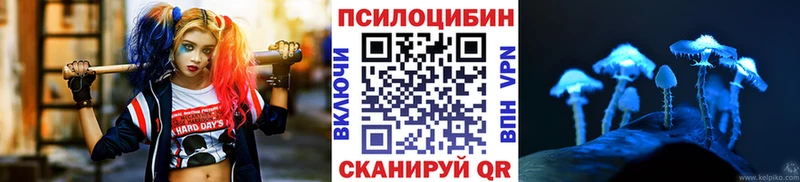 Купить закладки  Буйнакск  Галлюциногенные грибы Cubensis 
